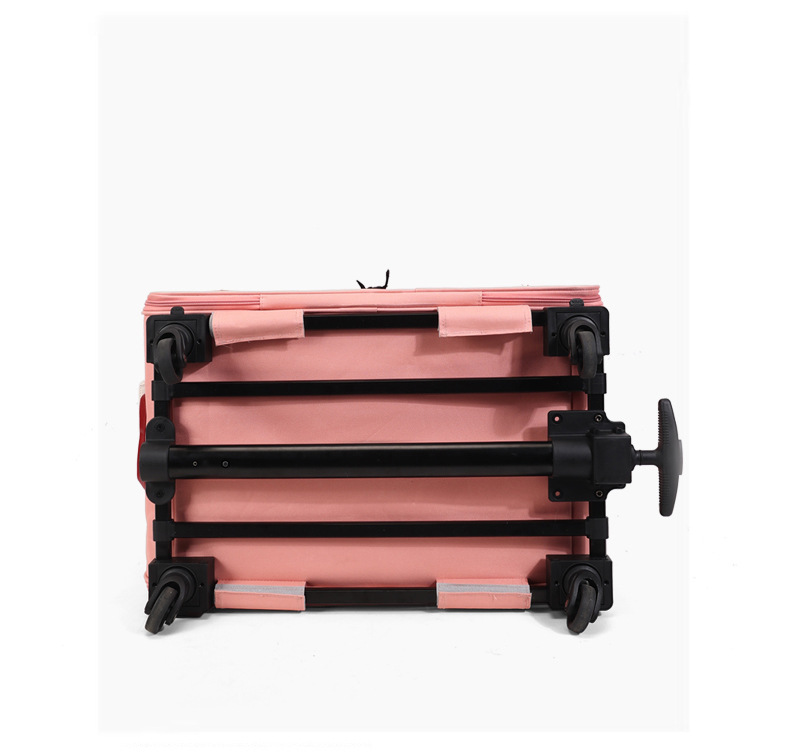 Multifunctional Pet Travel Tro - đánh giá và giá Travel Accessories Pink